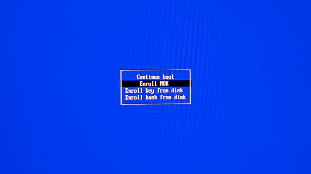 Image of a screen of the program MokManager